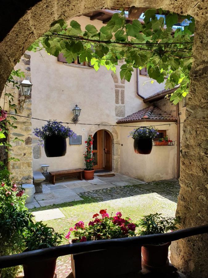 La Tana Del Tasso Rooms&Breakfast Camerata Cornello Exteriér fotografie
